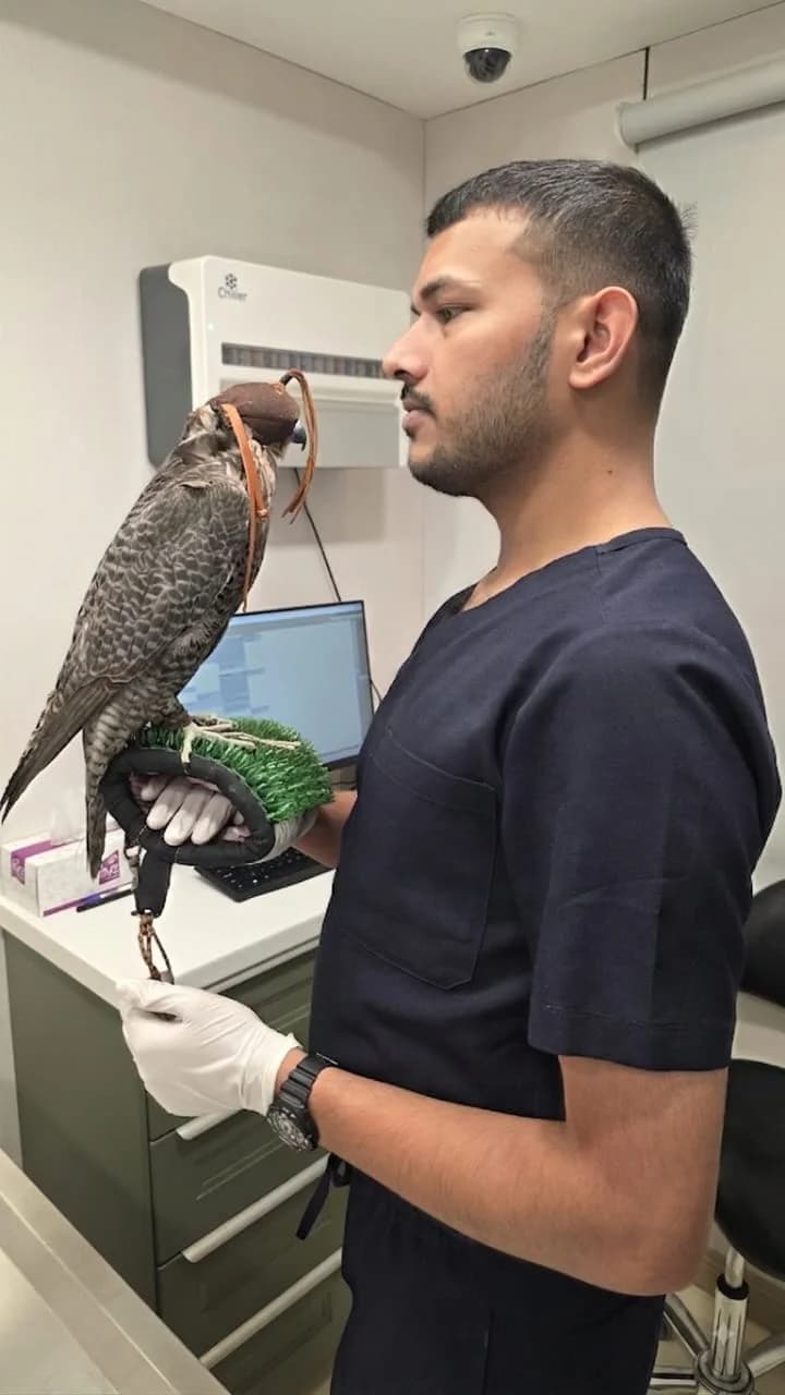 Dr. Usama — Founder of Alaska Pet Hospital